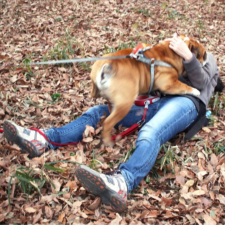 6ecebb8b 4736 4dec 8bee fcbc5250fd6d