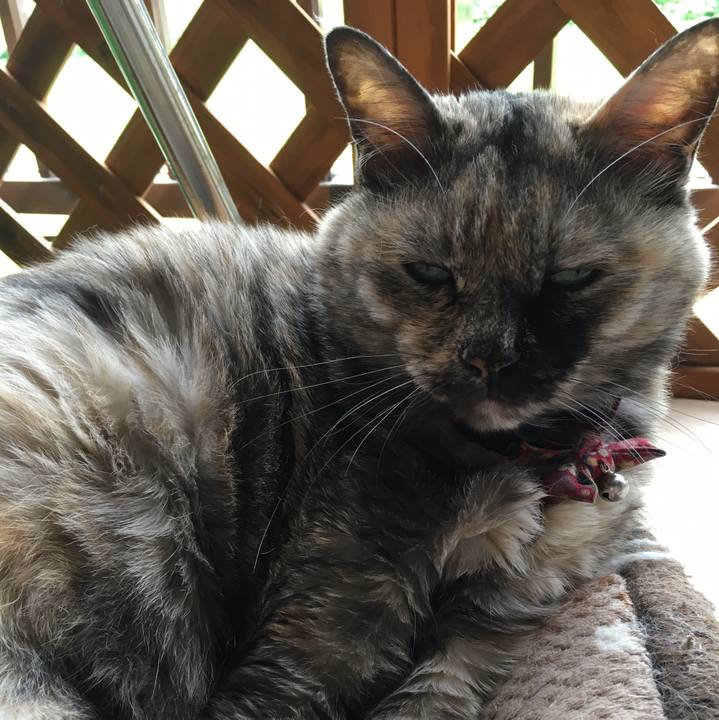 6eced262 c5ab 424d ab29 4ef35a581f65