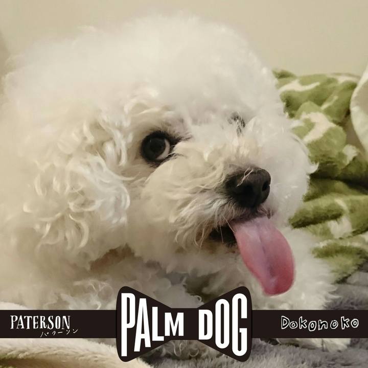 6ecfad19 a9b3 4ac1 be59 f2d2dce4b8fa