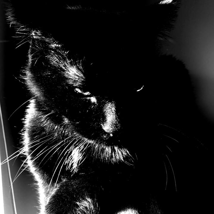 6ed10297 c238 4020 9c0b efafc9880973