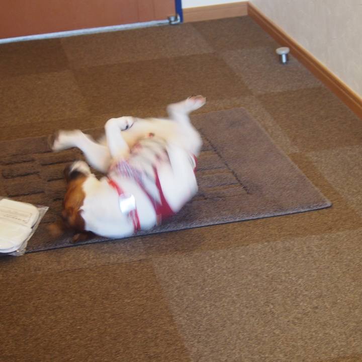 6ed12685 48e3 4238 8c87 10c02c14533f