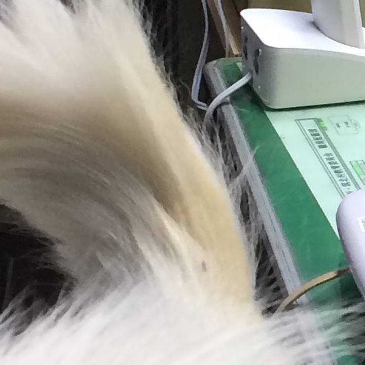 6ed18e0c e419 4a78 8aac 46abb9c080d3