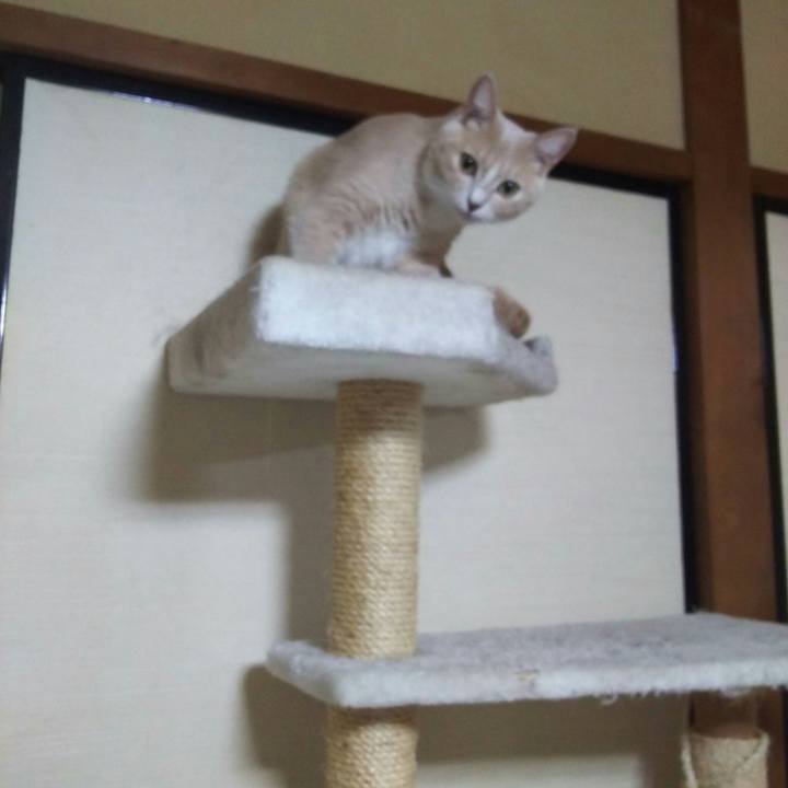 6ed25fab 9d56 4fd8 9dec ba9ecf0f3a72