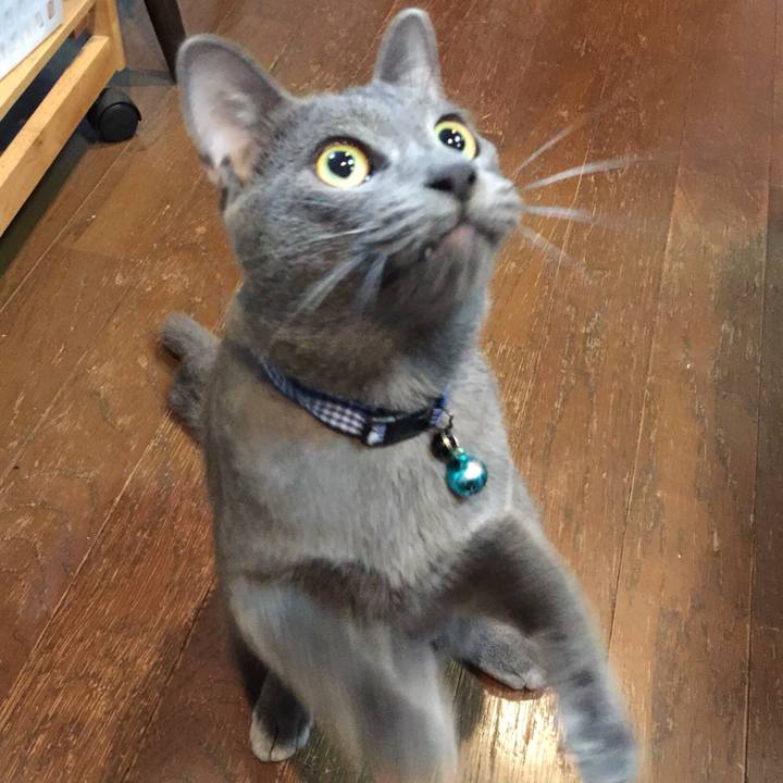 6ed2c505 adc3 4dcf 8478 2c9b65878d28