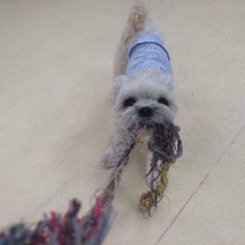 6ed37768 d01a 4a54 bdf9 3a6308dd92be