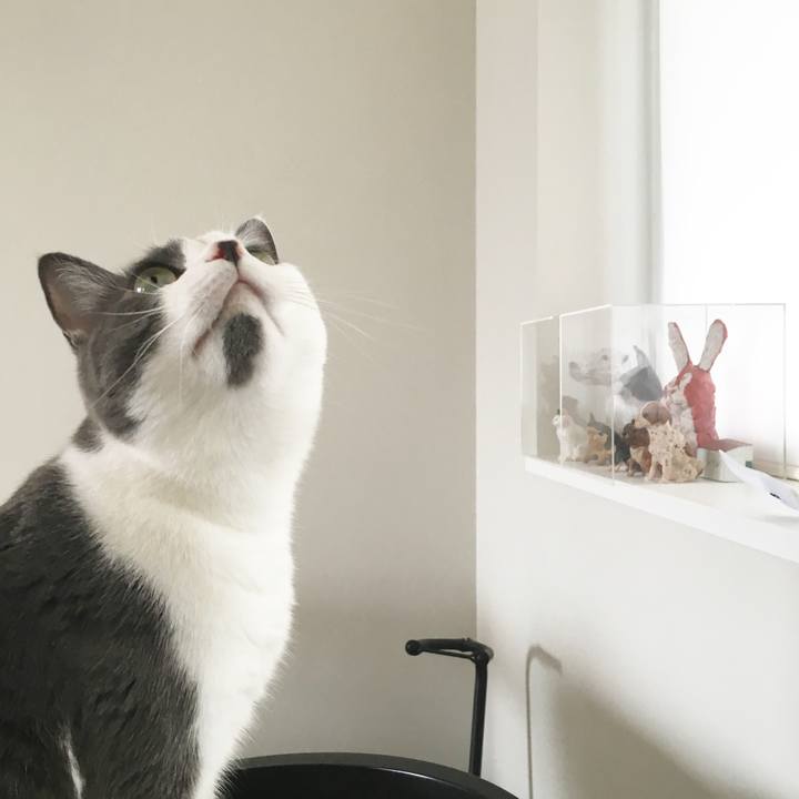 6ed38e6b 4842 4649 b0ba 2433287d553a