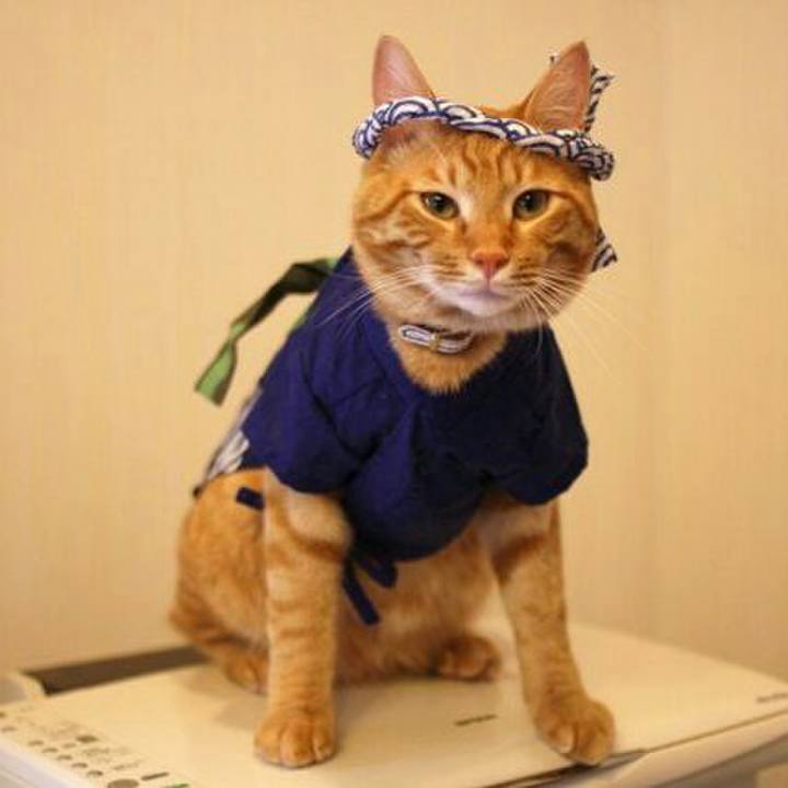 6ed3c32a c90f 4bab 8688 9343fbb3ac3e