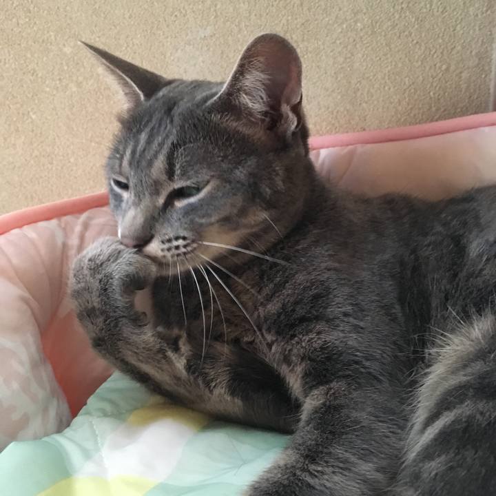 6ed3edb6 bbcc 4f77 ba73 8c62e1d24f57