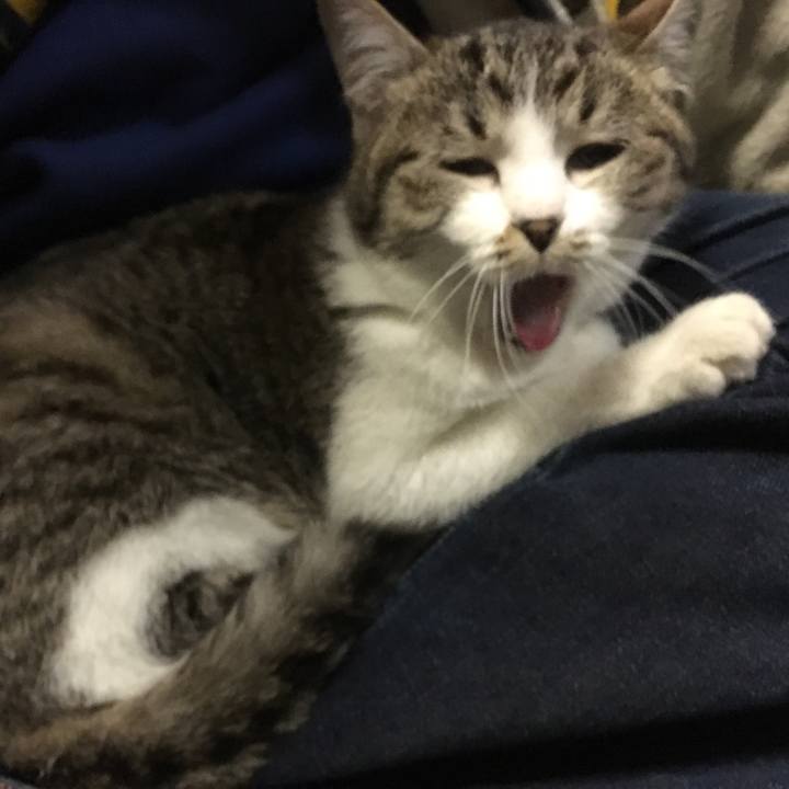 6ed535fb 97d2 4a64 827a 5cb4b4d8a828