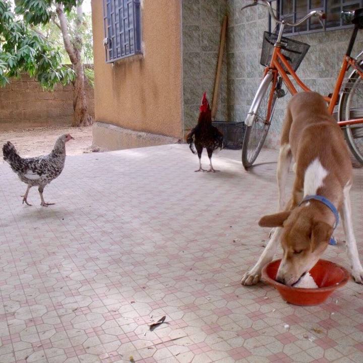 6ed585ce 0bc2 4d84 9285 74bfb3fbf721