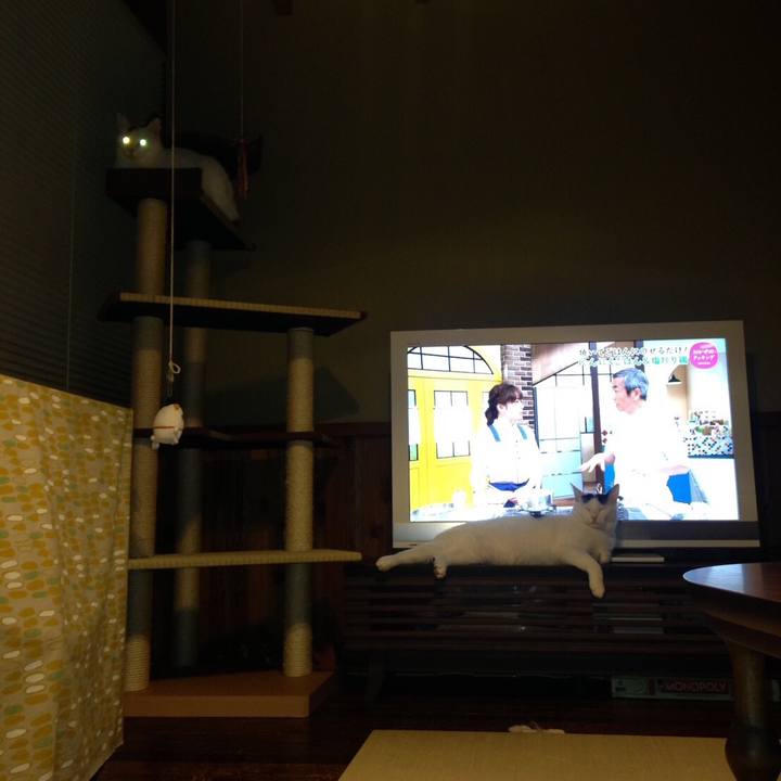 6ed5a990 c01c 4b9e a377 583ec7ec28c4