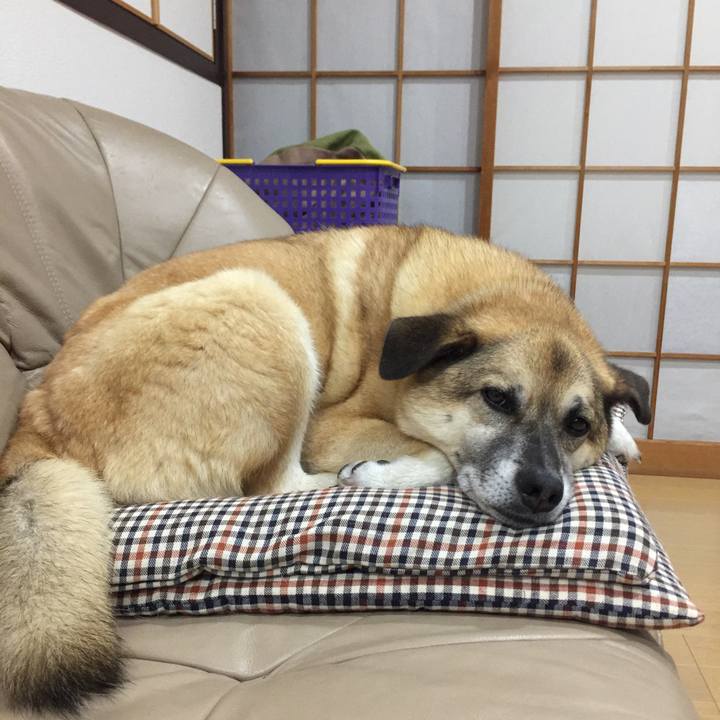 6ed68c83 a306 4119 9a23 5efc0824cee4