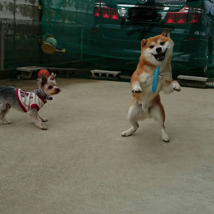 6ed6f149 c940 4d39 a093 2bfbf65e4c3e