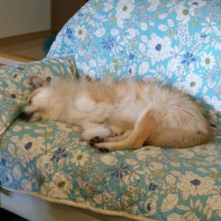 6ed702e7 1334 41fb 878f 8fda61c3dd67