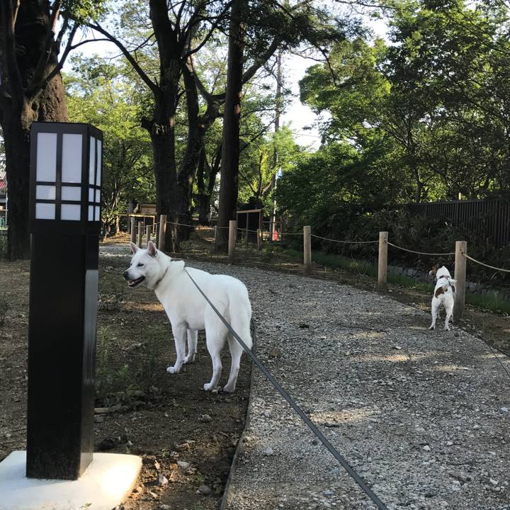 6ed749af 9905 4d52 ab0a 11a6b38e6001