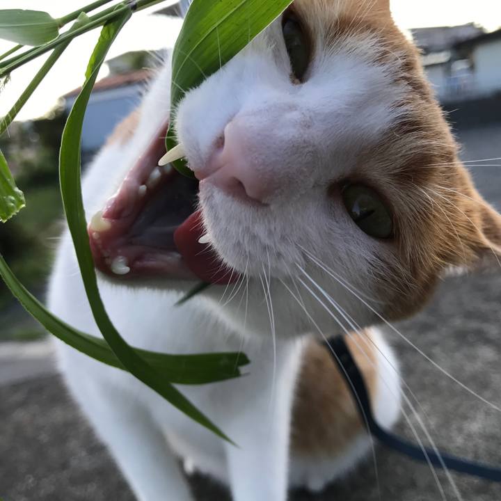 6ed76831 5c86 44b7 9dbb 2583ccdd76cb