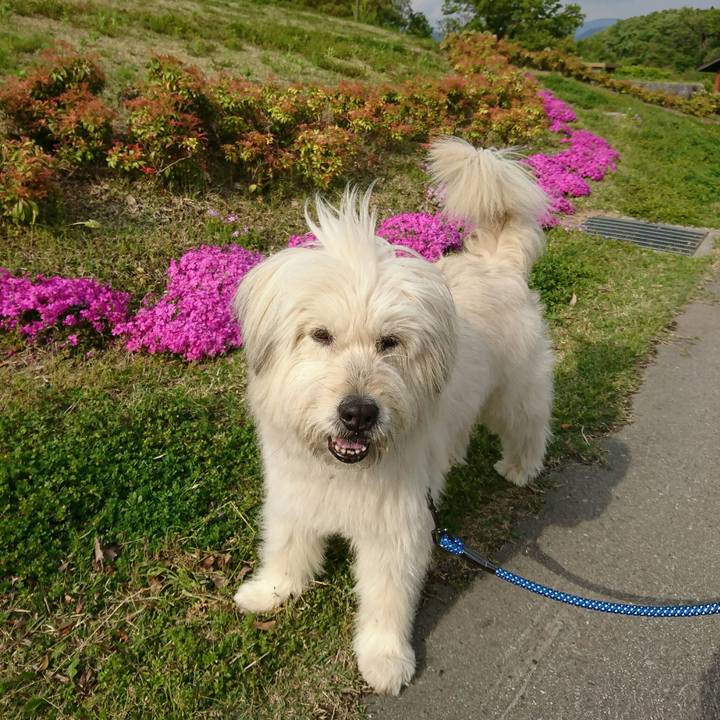 6ed7807d d7d1 4e2c 9ba0 0e17f99d979c