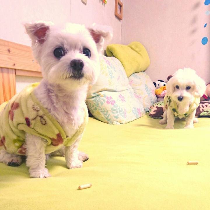 6ed971f7 cac1 4c8a 95a0 dd57b7877999