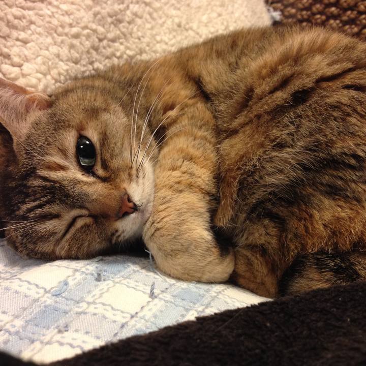 6eda3867 14ca 4377 a1c0 dea6d77f4354