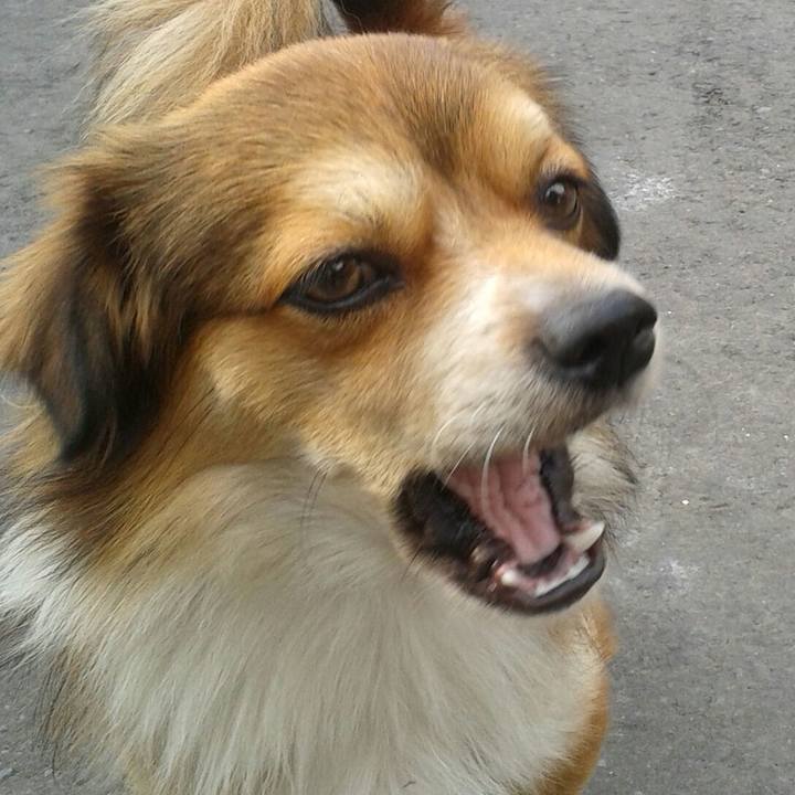 6eda76ce b224 44e4 904e 5f1beb417b24