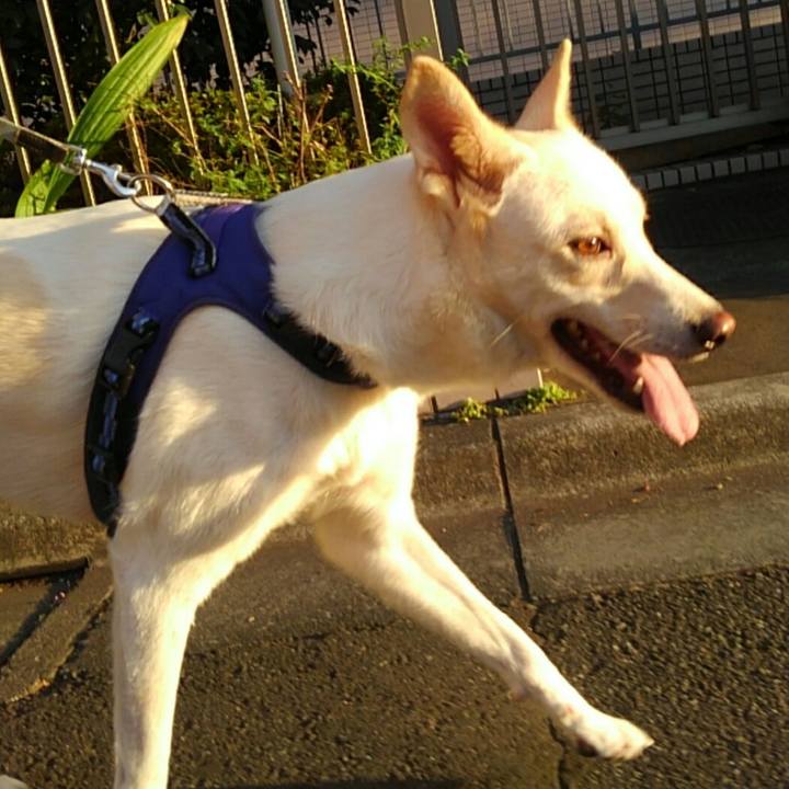 6eda9062 4421 4313 9504 0f385f9315dd