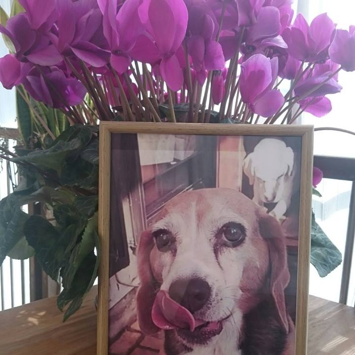 6edb05f6 3874 49f9 84aa 2fde71660ca1