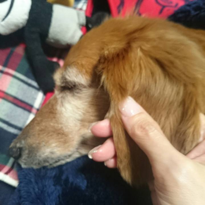 6edb79ad 0b33 4a24 badc 699ddaa4026c