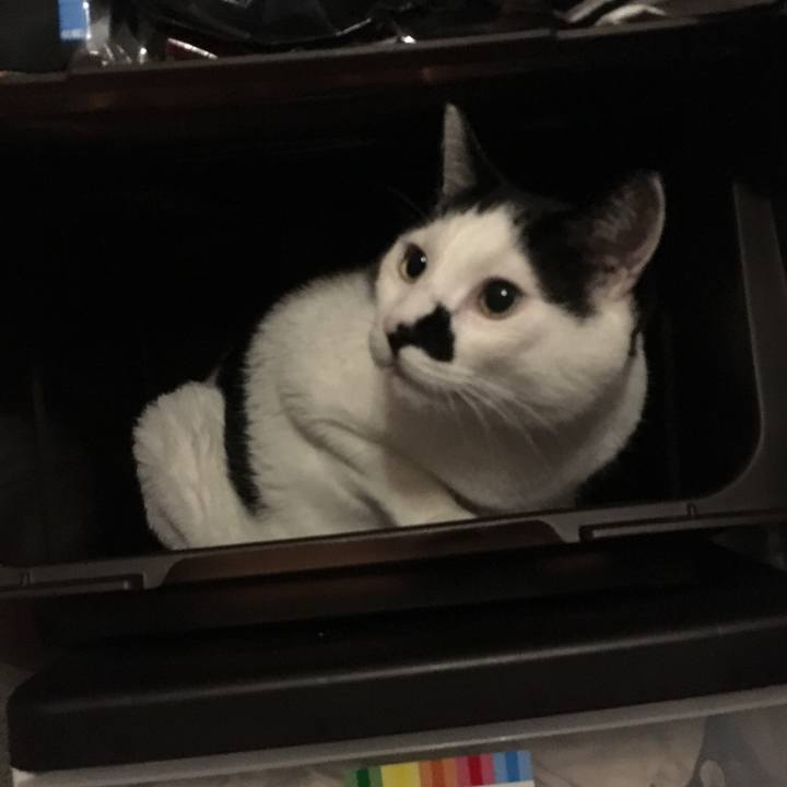 6edbc53a 6b2c 41c8 a036 bd1cc7ea65ca