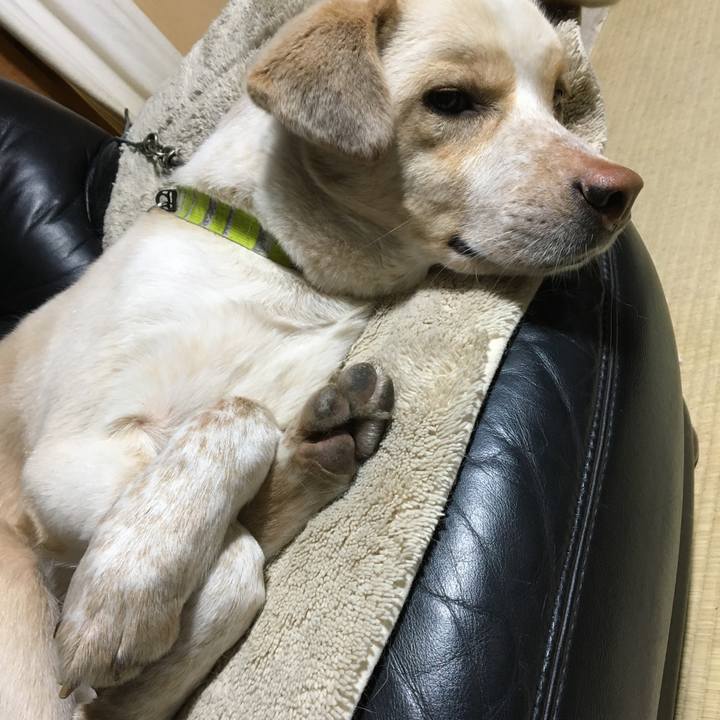 6edc6b2a 2953 4fcf 8dd0 a23e97d25f41