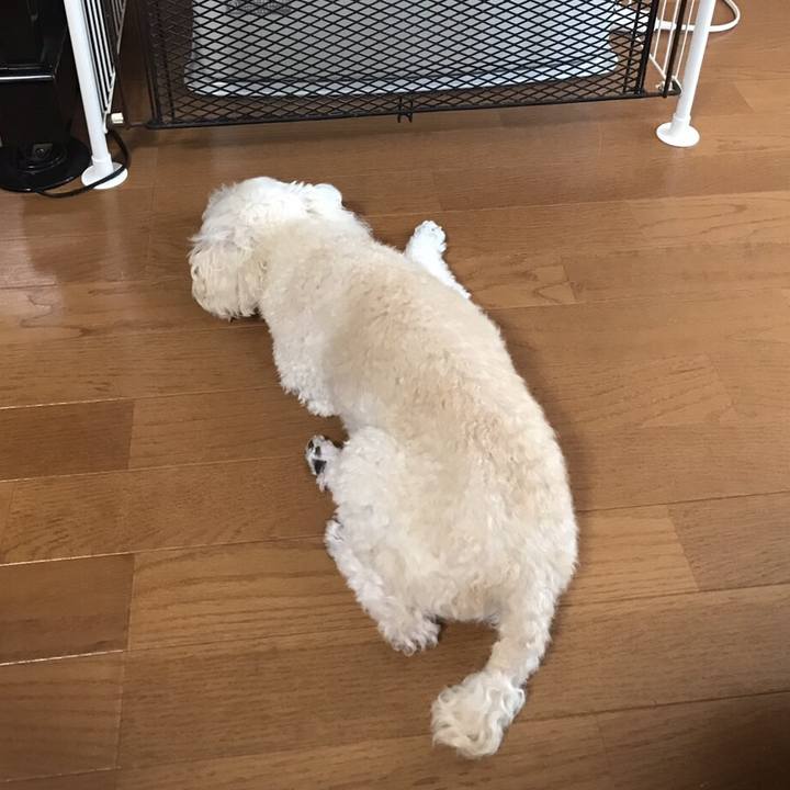 6edcc0cd e589 4286 b26b ae20aa1dde61