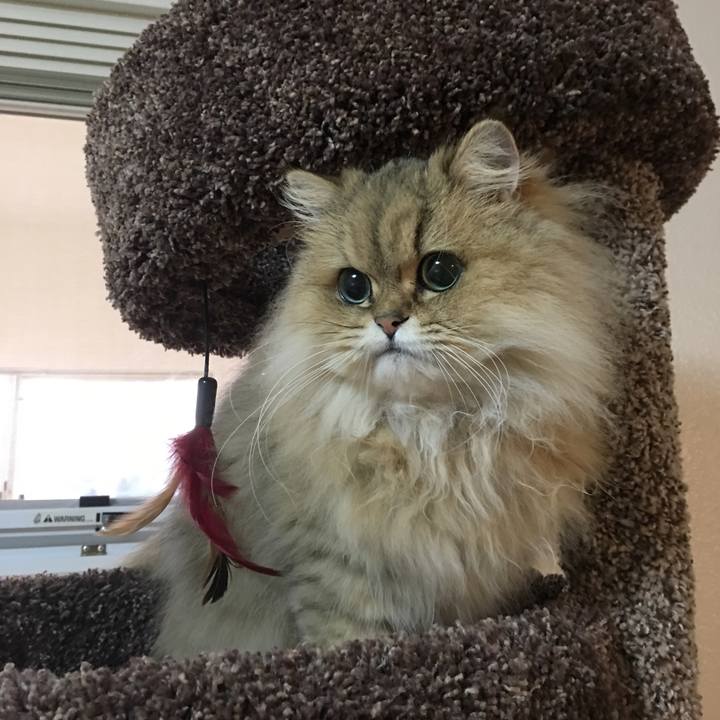 6edd760d 4bfc 437a 990a f211ecc3dd16