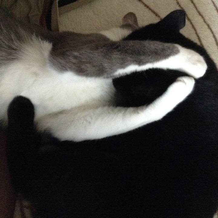 6eddf995 8768 44b0 becd 289e5470450d