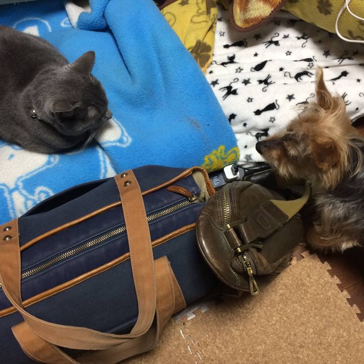 6ede4692 6001 461b 96cc 0bcd3f1bd95f