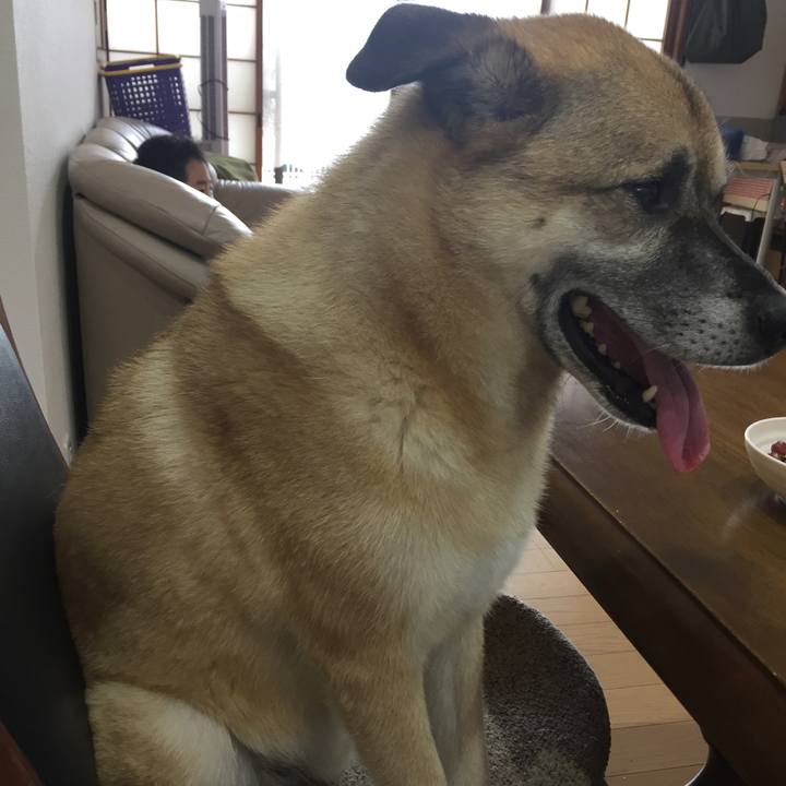 6ede5739 9381 4909 9bc1 92017d5e400b