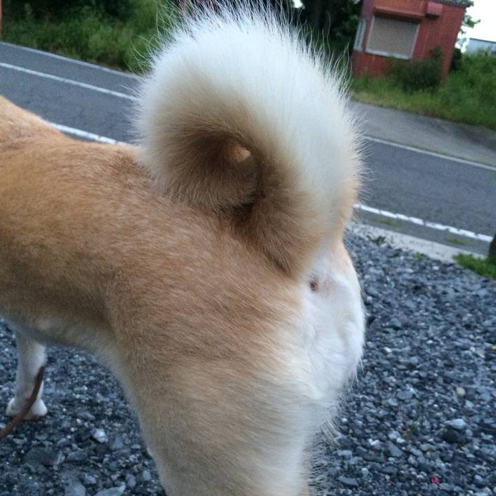 6ede9a07 d194 4835 bfa0 1f8c00cee497