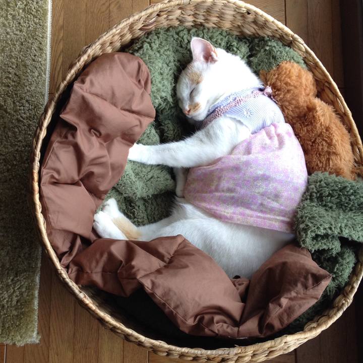 6edf03c6 6ad2 4638 b150 dd3e49d4cdae