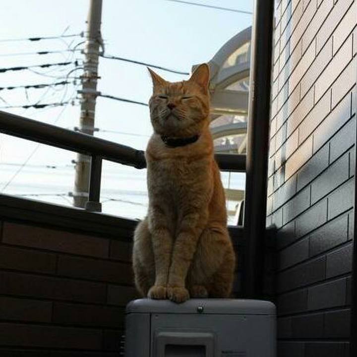 6edfa77f 9366 4383 a887 cb59c3c244e7