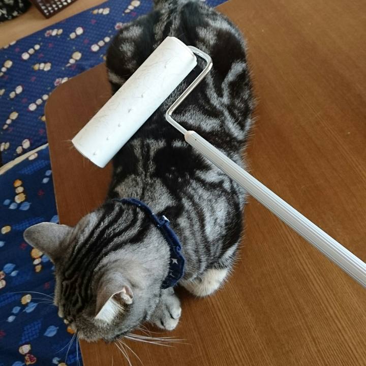 6edfbe26 a67d 48c6 b724 944499225acb