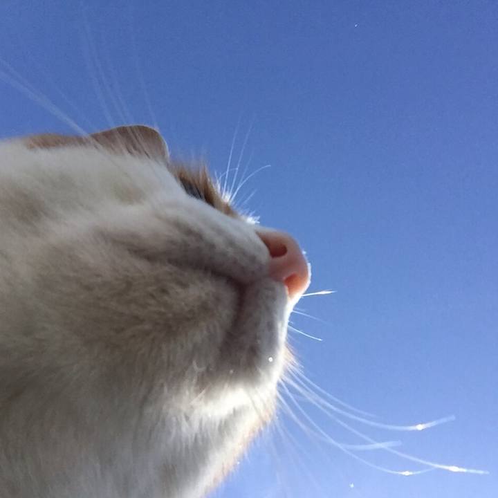 6edff736 dd40 41fd 92d3 33d45a8bd910