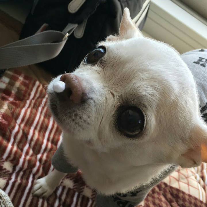 6ee022c8 8a13 4052 a960 b7dae832794d