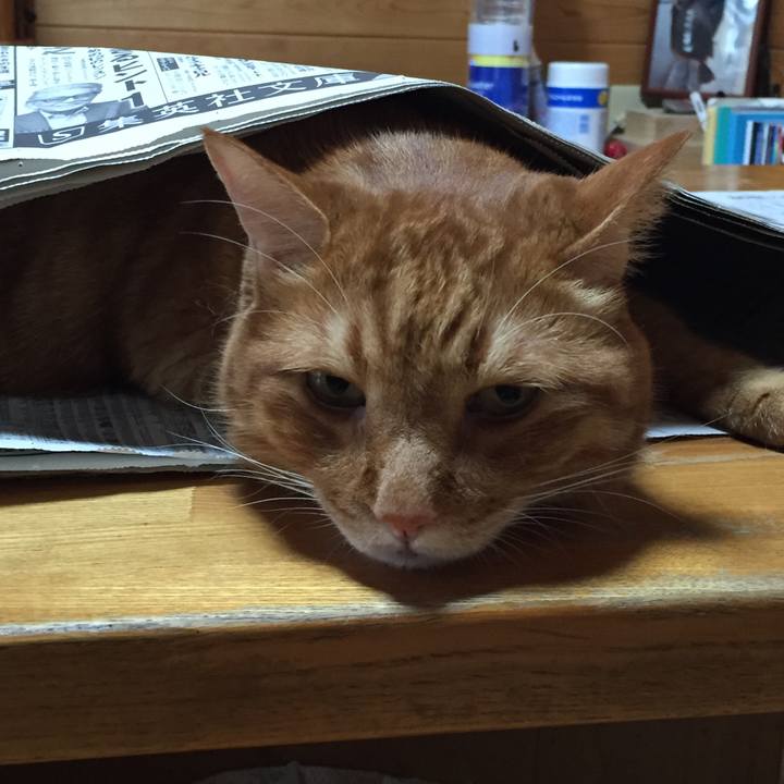 6ee05279 854e 4f26 bc71 ca7ab9cd3e08