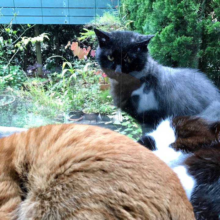 6ee10242 5f44 4427 96f8 0cdaf6e4d22e