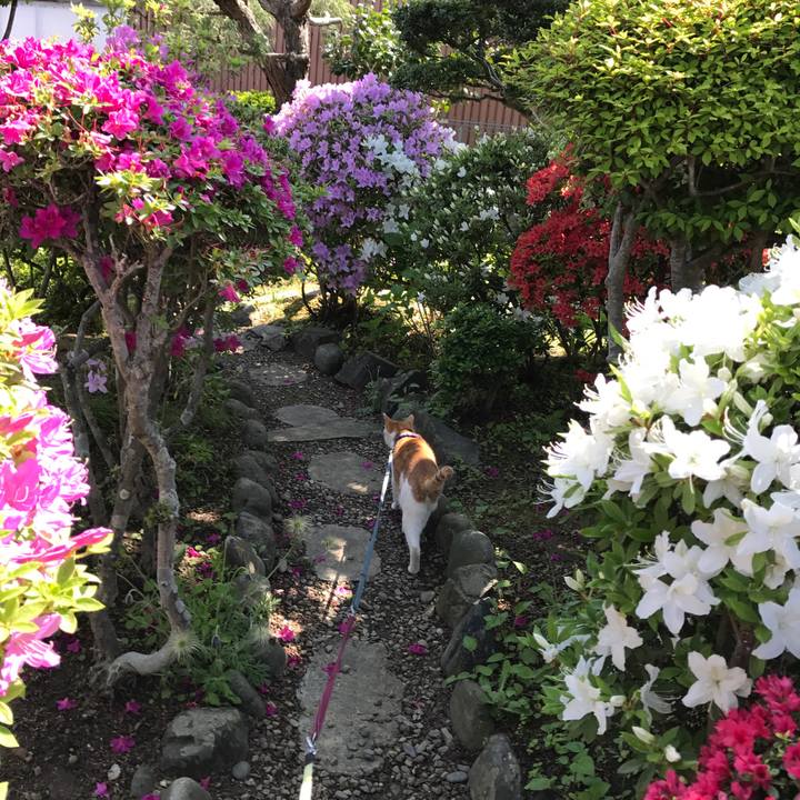 6ee17ae0 af59 4943 906c 38d10ac1537f