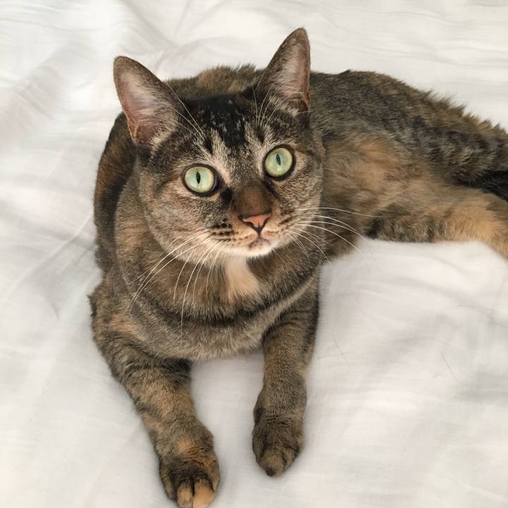 6ee1a7c4 c8ce 4443 9a52 4b5ad3c49272