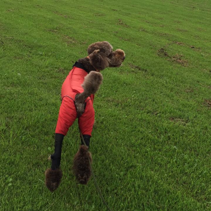 6ee1c767 1fad 4475 8c6f a23b7d7750be