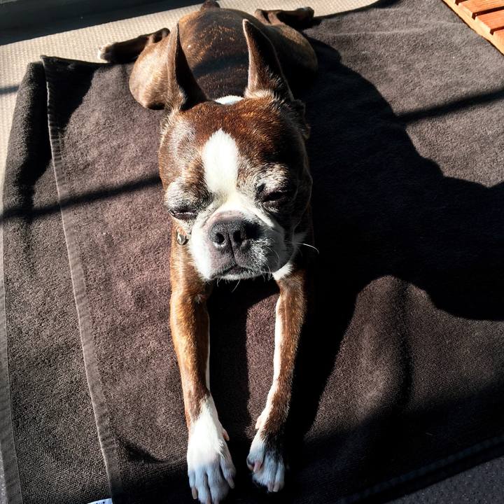 6ee20254 3eb1 42de 8493 15b71fc019bd