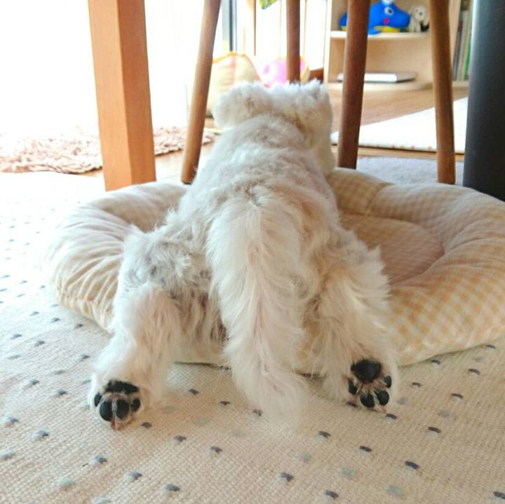 6ee20259 cffd 4e64 8b49 4ea9e028cd64