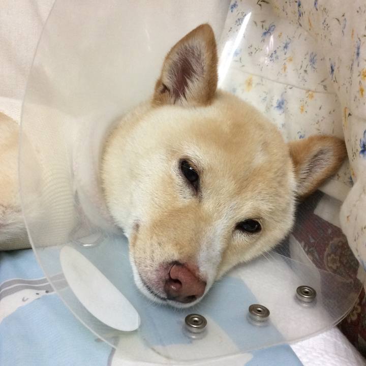 6ee2b7c2 67a3 4f8d a33c 5ce65759e555