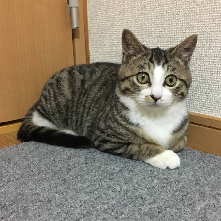 6ee36cdd cf60 4d89 ade9 417d478c38f4