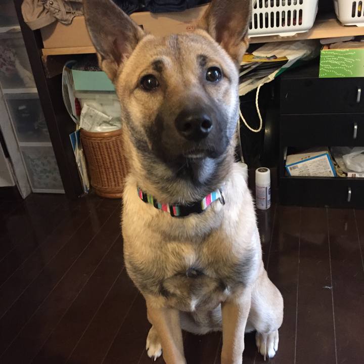 6ee394e4 6774 4e4e b63d 7dcfa28a0b90